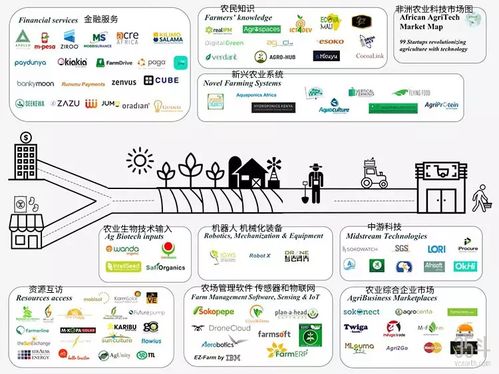 非洲农业科技新浪潮 聚焦种植决策、供应链与金融服务的数字化转型